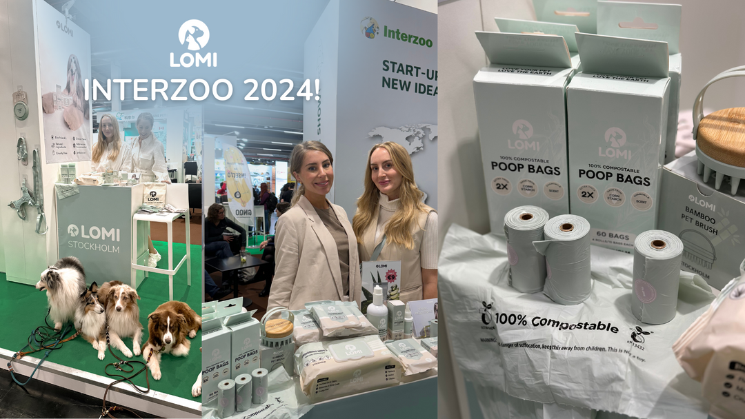 Vår första hundmässa i Tyskland! InterZoo 2024