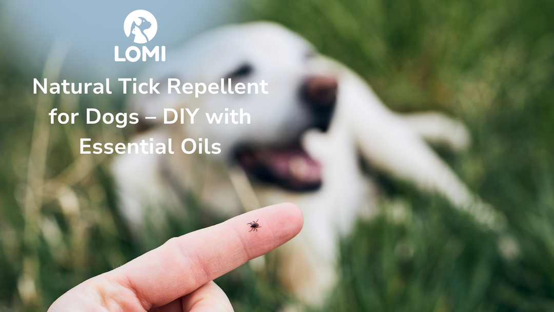 Naturligt fästingmedel för hundar – gör det själv med eteriska oljor