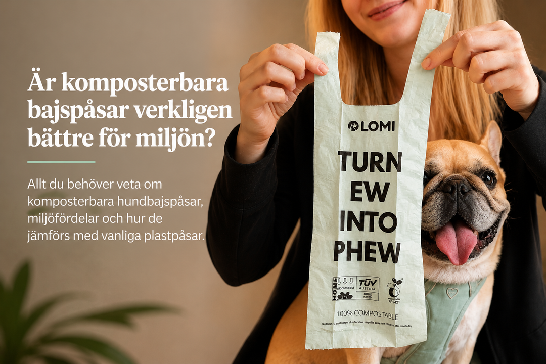 🌿 Är komposterbara bajspåsar verkligen bättre för miljön?