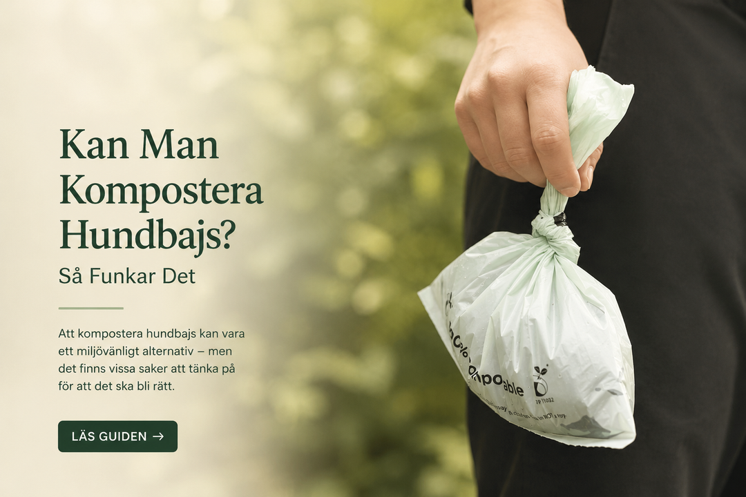 Kan Man Kompostera Hundbajs? Så Funkar Det