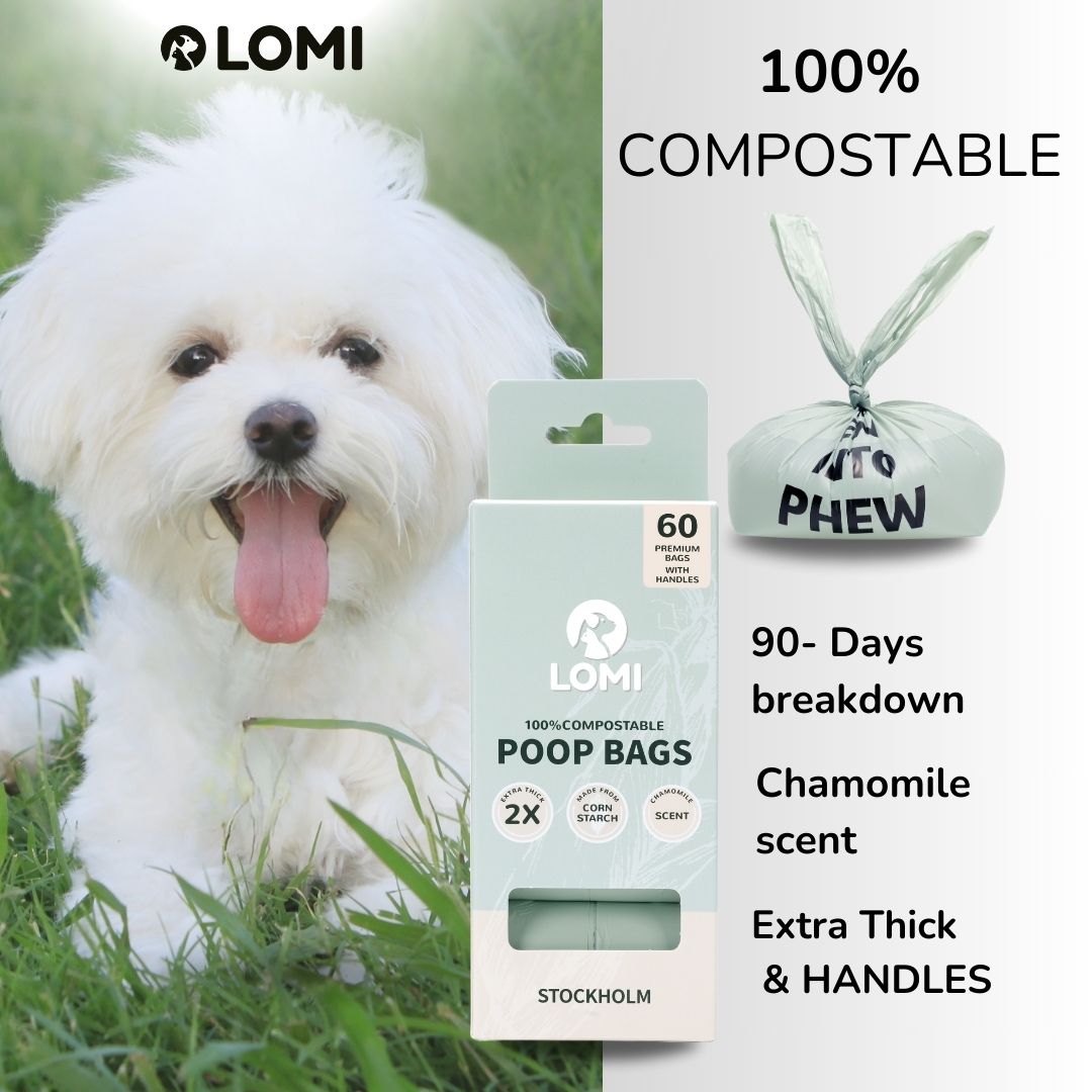 Lomi Icon Bästsäljare – Populär Hundvård från LOMI Petcare