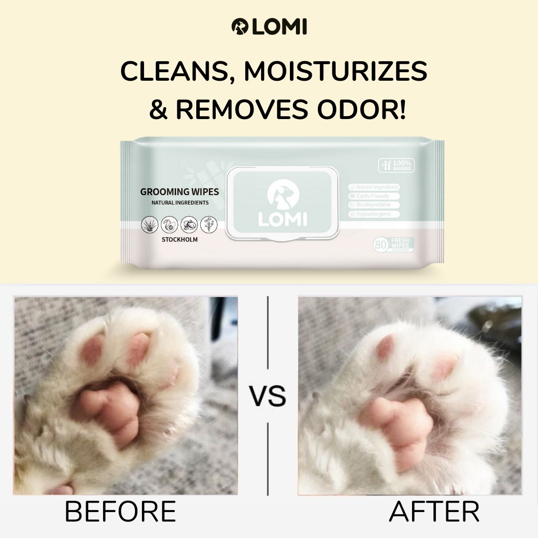 Aloe Vera & Kamomill Våtservetter – 100% Bambu för Hund & Katt