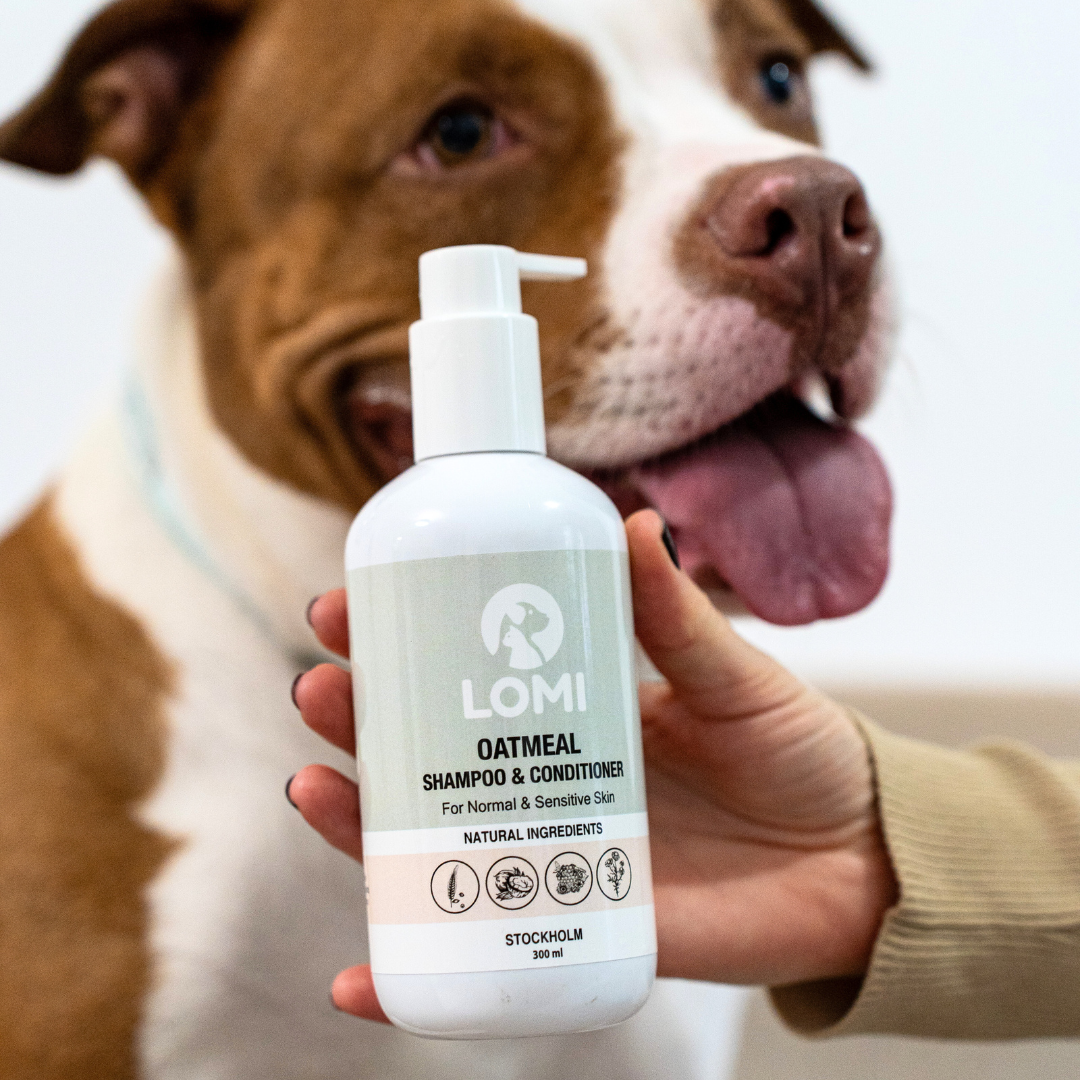 Aloe Vera, Havre Schampo & Balsam för Hund & Katt