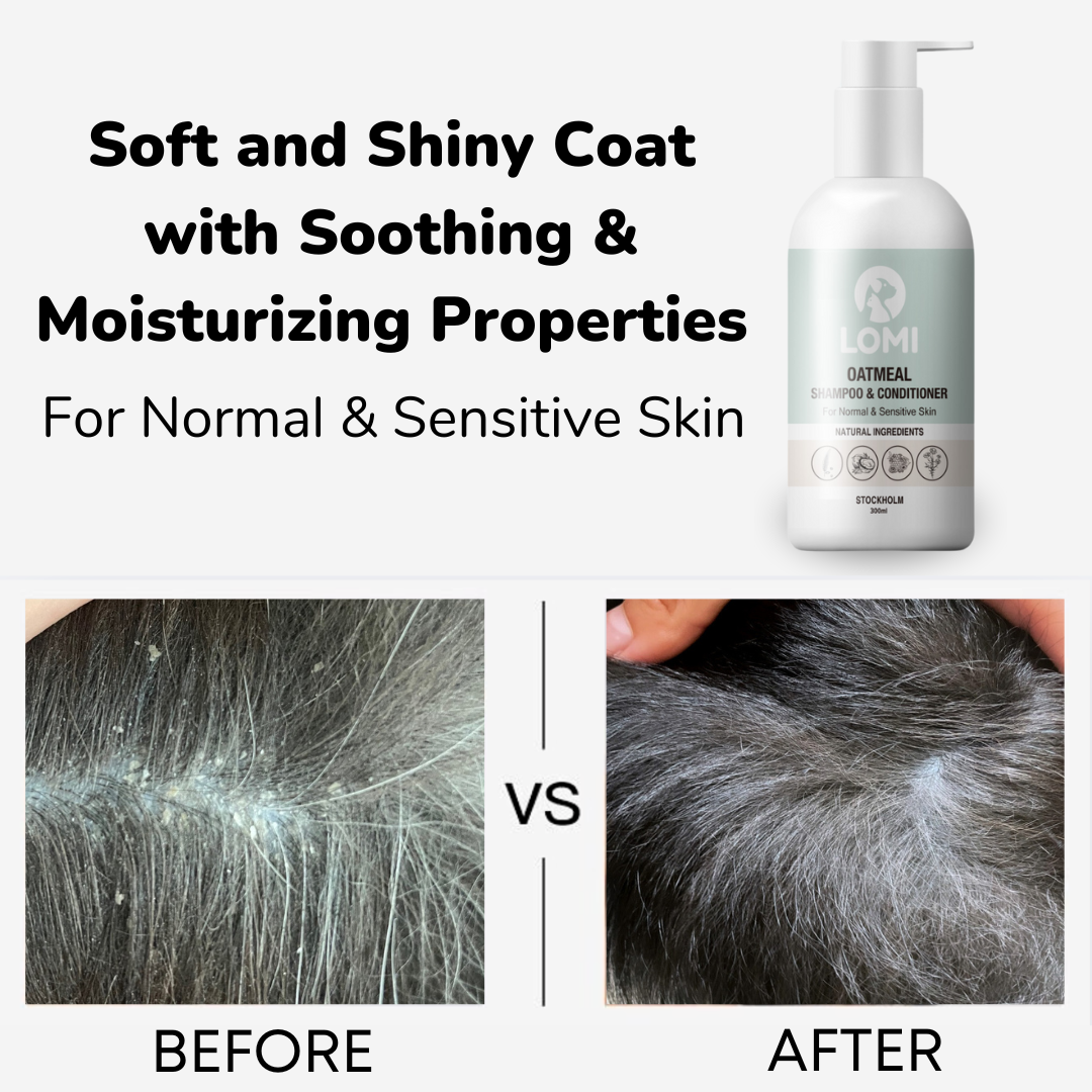 Aloe Vera, Havre Schampo & Balsam för Hund & Katt