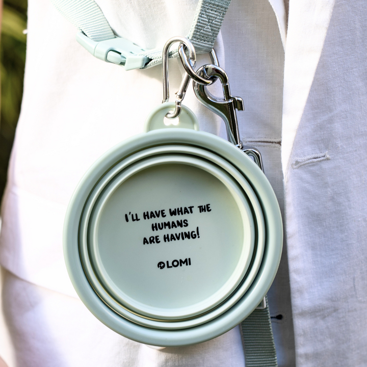 Hopfällbar Mat & vattenskål för hund, CarryMe!