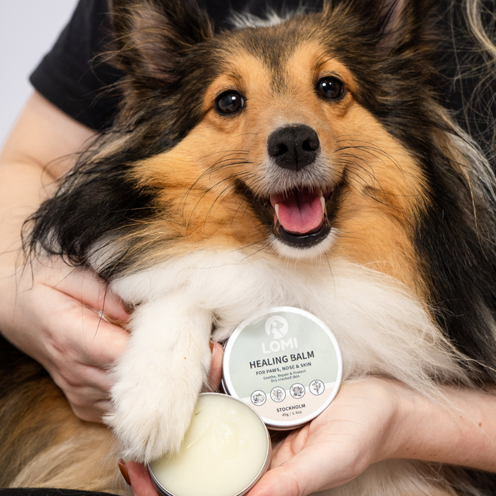 100% Naturlig Tassalva för Hund & Katt - Healing Balm