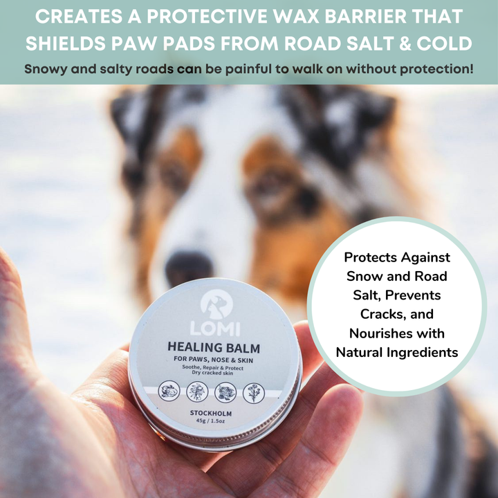 100% Naturlig Tassalva för Hund & Katt - Healing Balm
