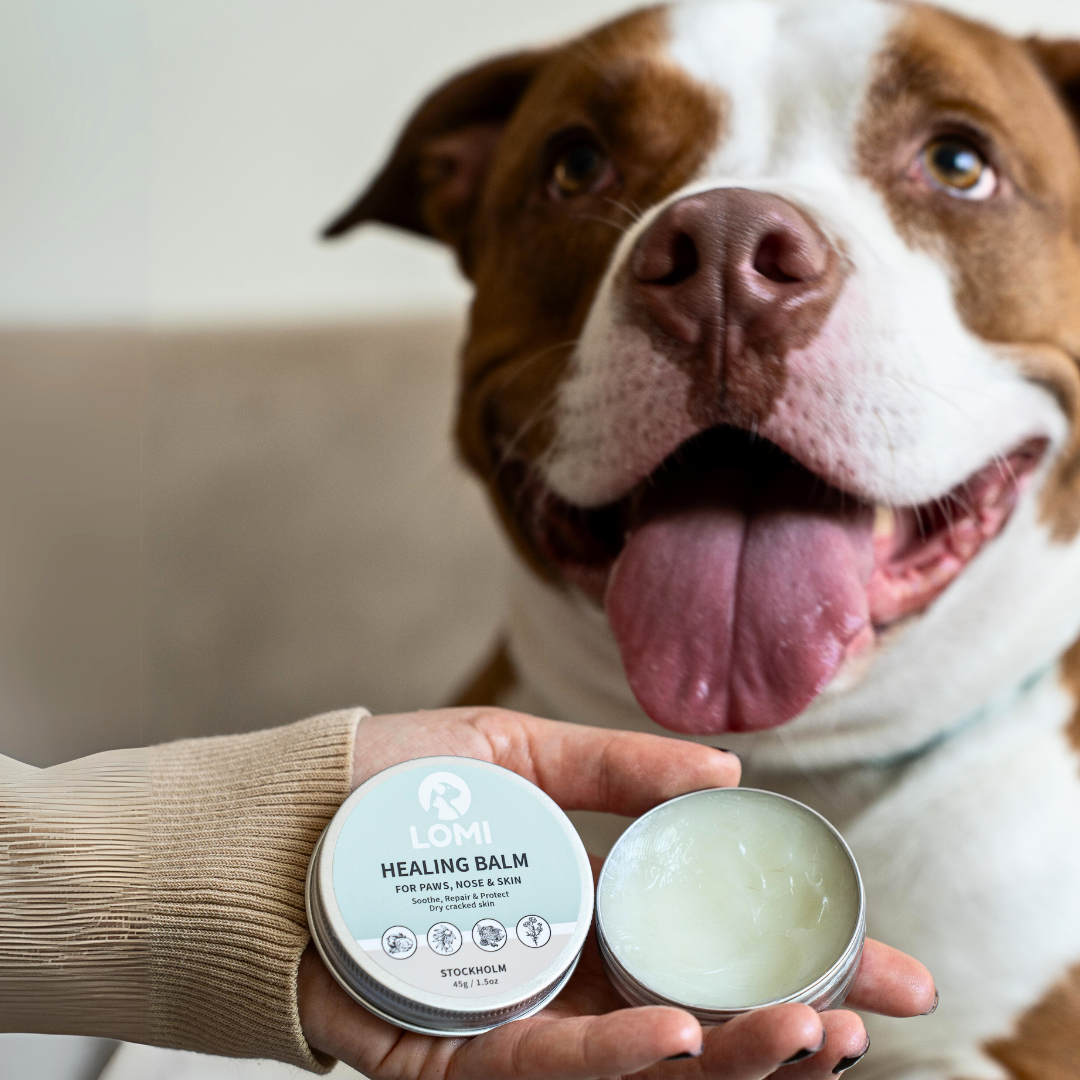 100% Naturlig Tassalva för Hund & Katt - Healing Balm