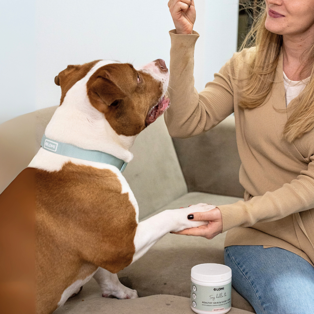 Vitamingodis för Frisk hud och päls