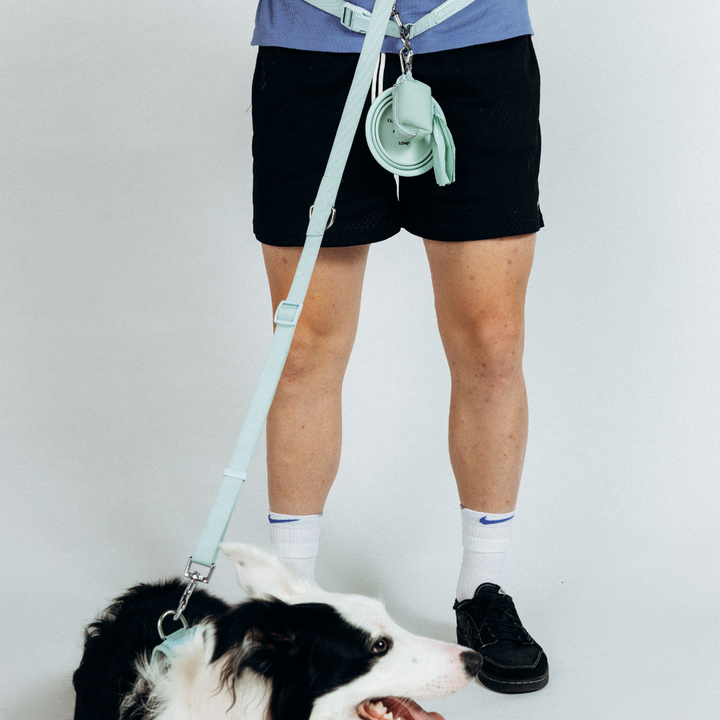 Hundkoppel - Hands-free