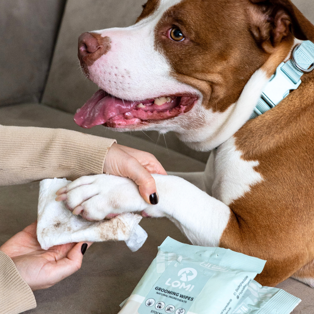 Aloe Vera & Kamomill Våtservetter – 100% Bambu för Hund & Katt