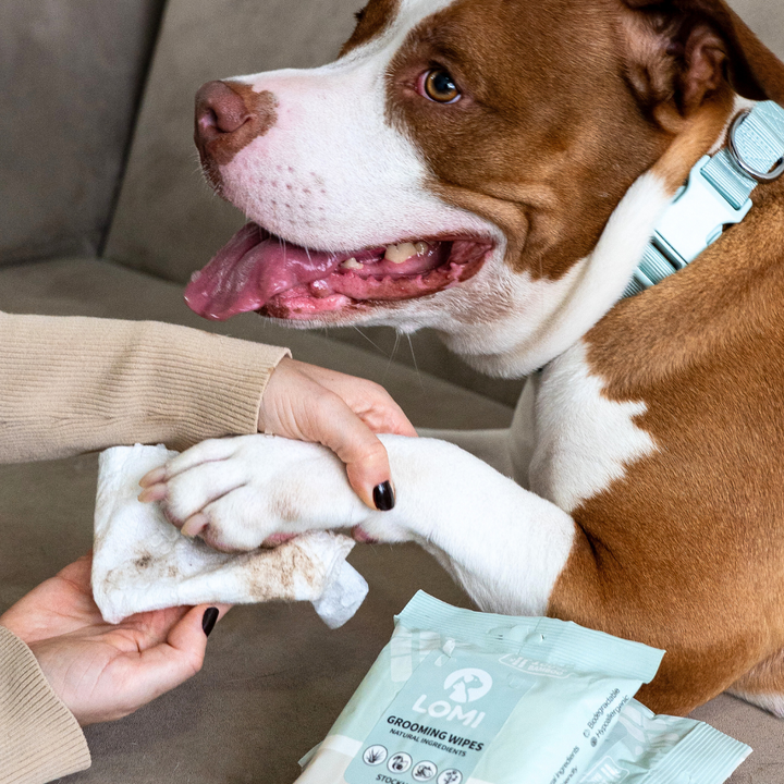 Aloe Vera & Kamomill Våtservetter – 100% Bambu för Hund & Katt