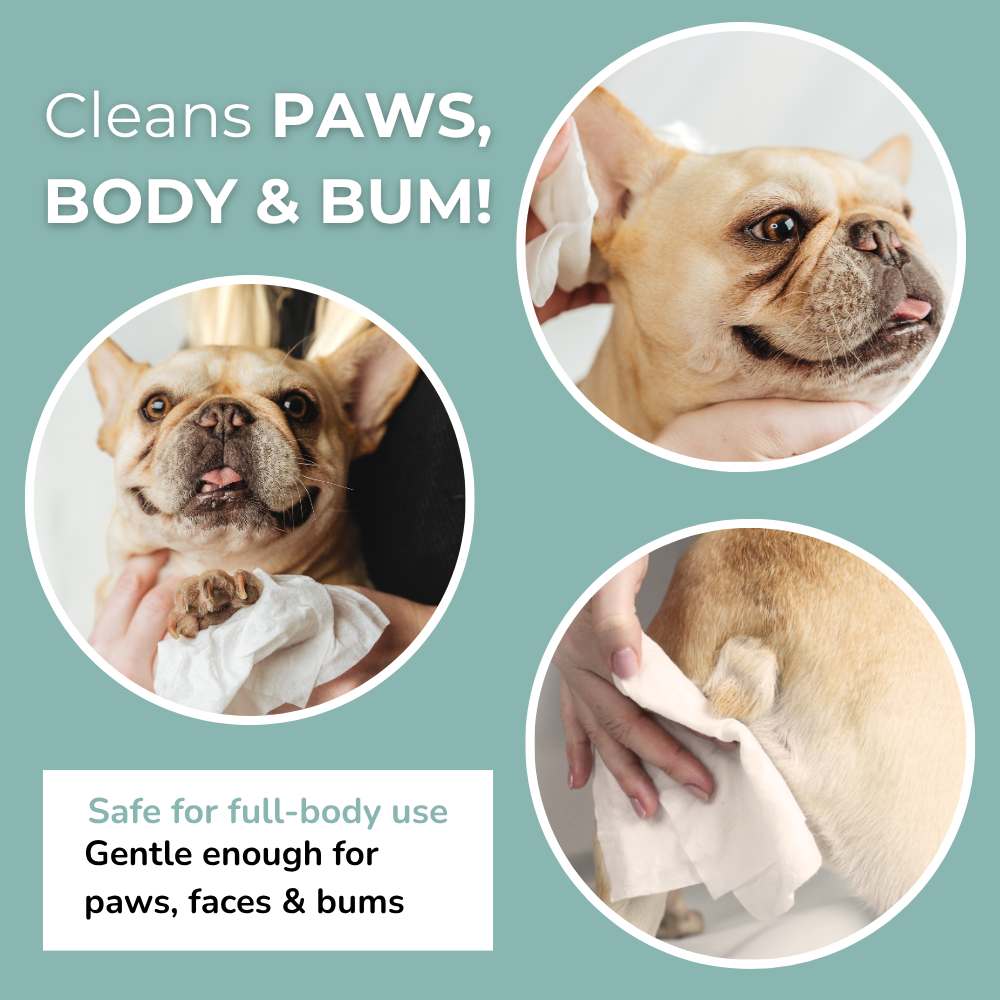 Aloe Vera & Kamomill Våtservetter – 100% Bambu för Hund & Katt