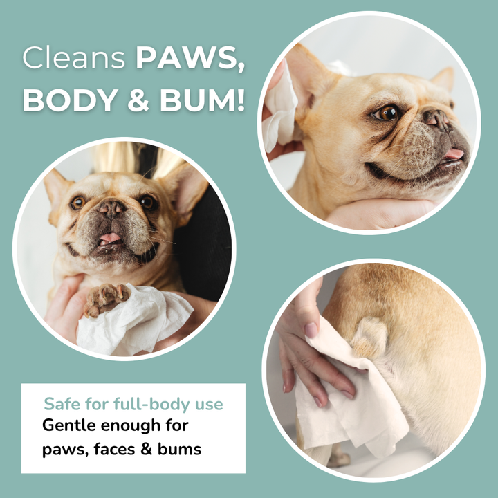 Aloe Vera & Kamomill Våtservetter – 100% Bambu för Hund & Katt