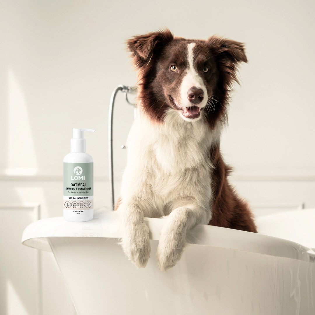 Aloe Vera, Havre Schampo & Balsam för Hund & Katt