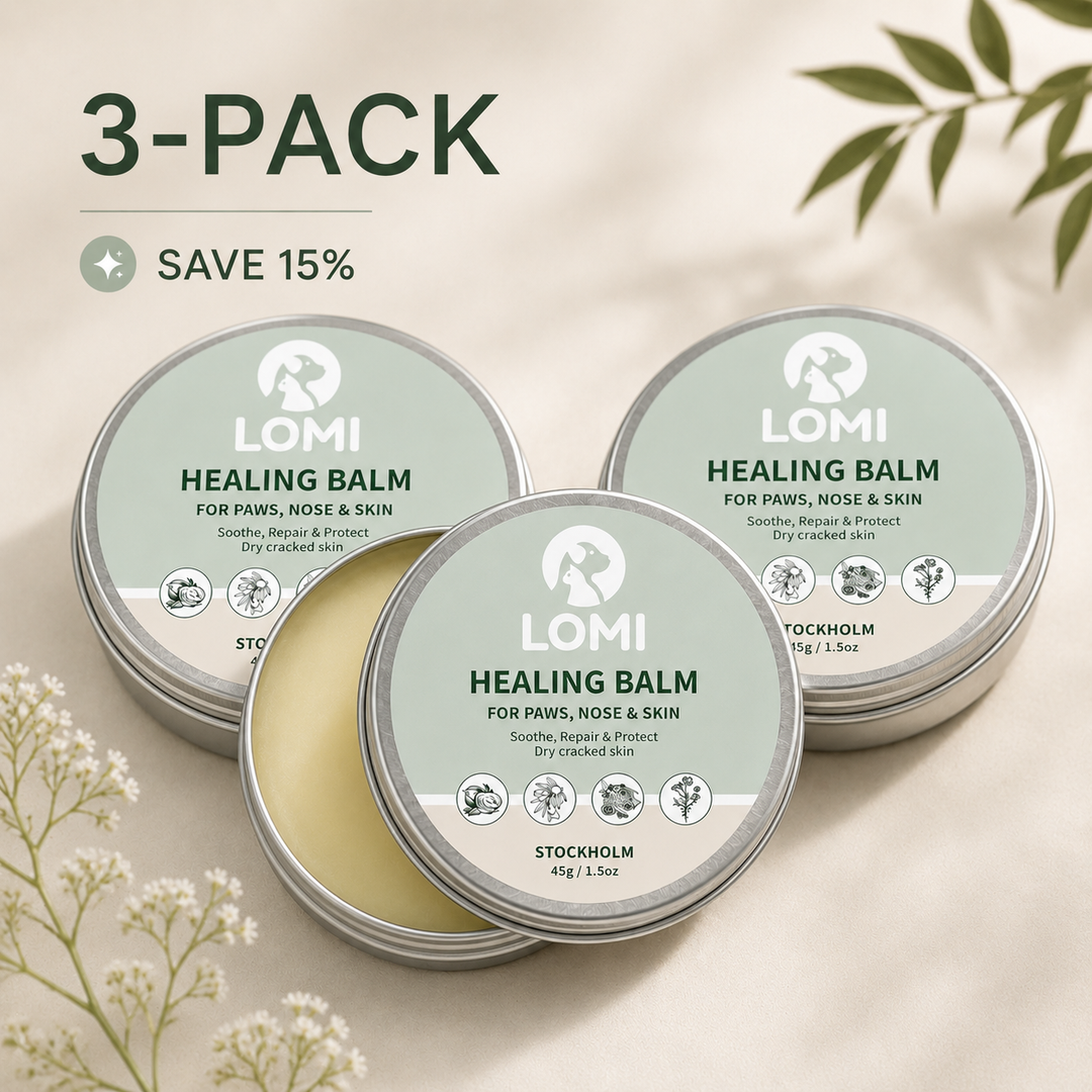 Tassalva för Hund & Katt – Healing Balm för Torra Tassar & Nos | LOMI