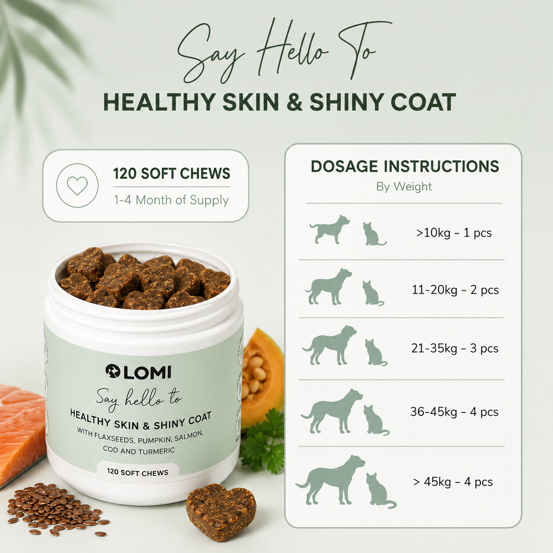 Functional Treats - Skin & Coat formula