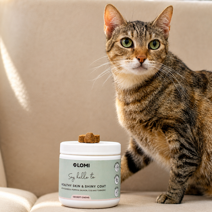 Functional Treats - Skin & Coat formula
