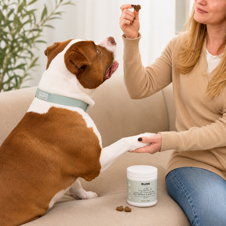 Functional Treats - Skin & Coat formula