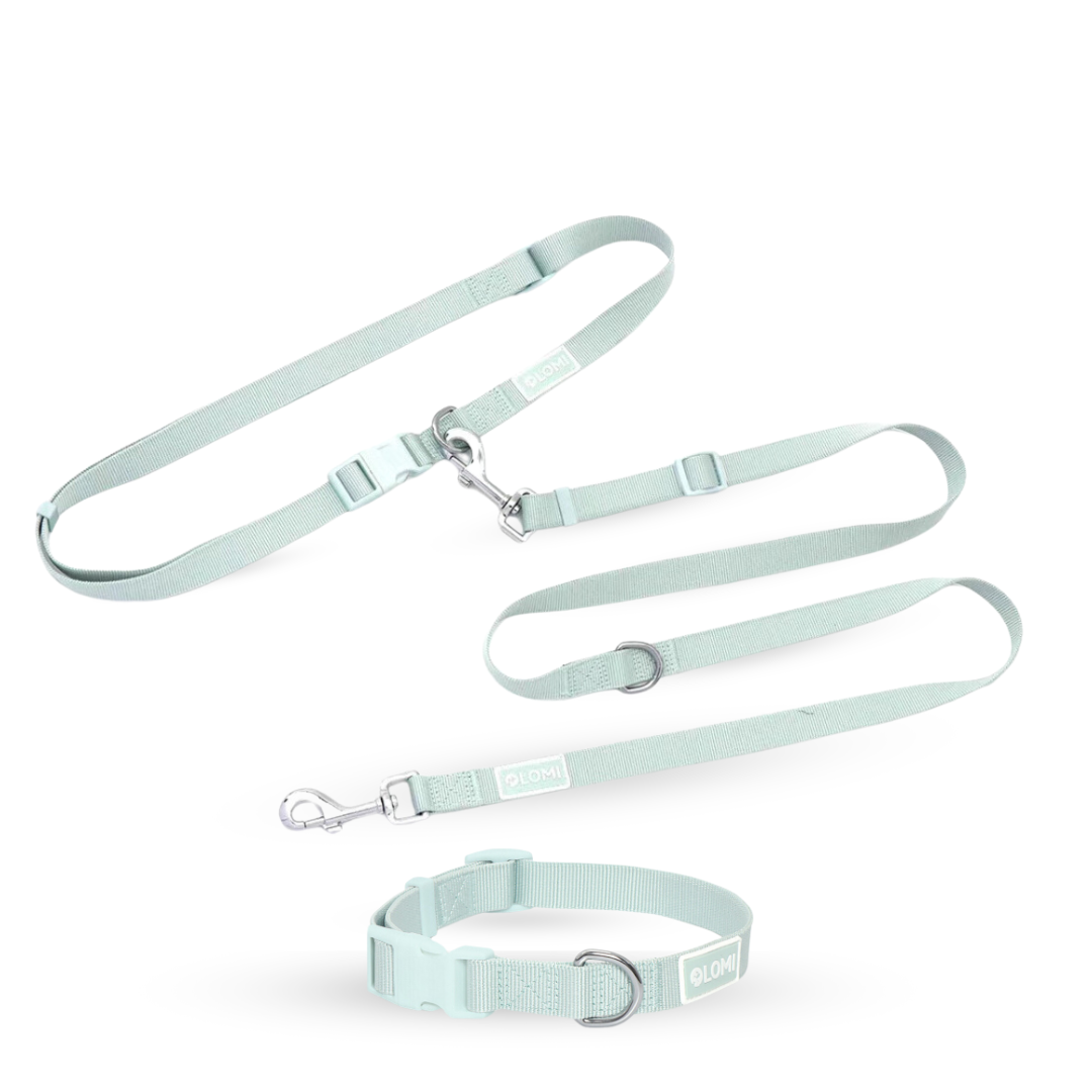 Hundhalsband & Multikoppel Set EcoComfort