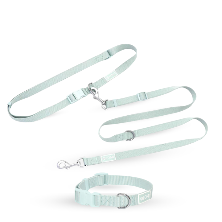 Hundhalsband & Multikoppel Set EcoComfort