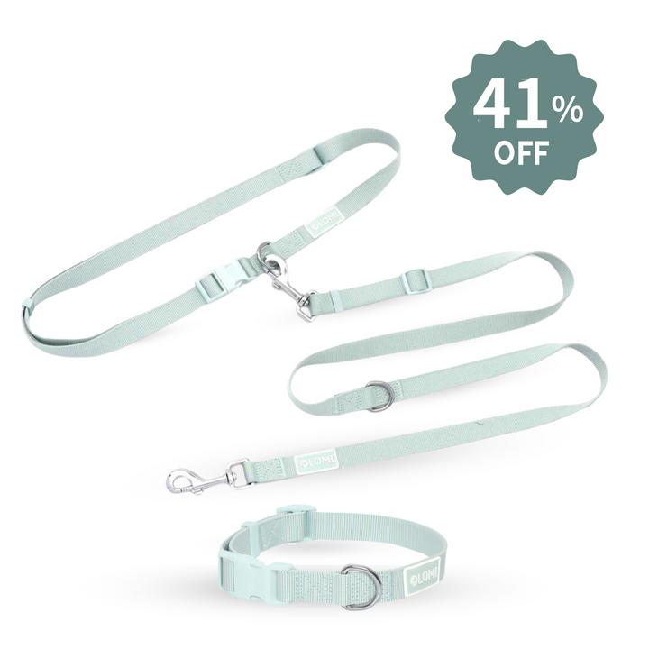 EcoComfort Dog Collar & Multi-Leash Set