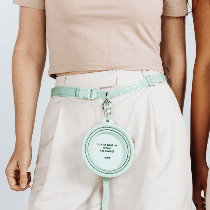 Hopfällbar Mat & vattenskål för hund, CarryMe!